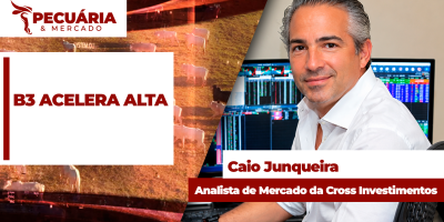 Descolamento da arroba no mercado futuro com diferença de mais de R$30 em relação ao físico, traz oportunidade de proteção de preços
