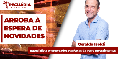 Cotação da arroba se acomoda e pode até sofrer pressão no curto prazo, mas viés é positivo para os preços
