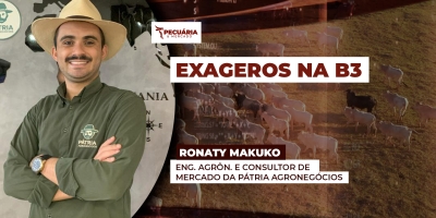Queda de R$15 na arroba do boi, projetada pela B3 para os meses de julho e agosto é exagerada, alerta Makuko