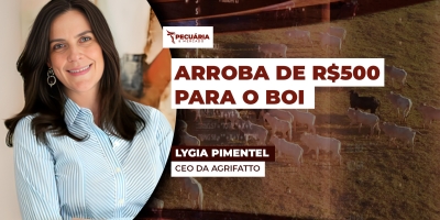 Agrifatto projeta arroba do boi de até  R$500  dentro do novo ciclo pecuário que está começando