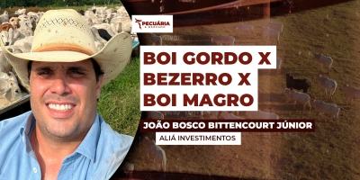 Relação de troca cada vez mais apertada requer estratégia e planejamento na hora de fazer a reposição do rebanho