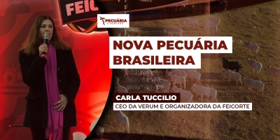 A evolução já começou mas ainda há  muito para avançar na pecuária brasileira