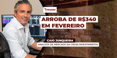 SP já tem negócios pontuais com arroba de R$335 e mercado pode buscar os R$340  em fevereiro, afirma analista