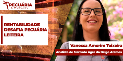 A rentabilidade da atividade leiteira depende cada vez mais da eficiência produtiva, alerta especialista