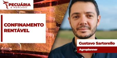 Confinamento para último trimestre tem margens positivas mesmo diante de pressão nos preços da arroba