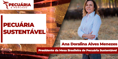 Como fazer a reinserção de pecuaristas na cadeia formal da carne bovina para fortalecer a pecuária sustentável no Brasil