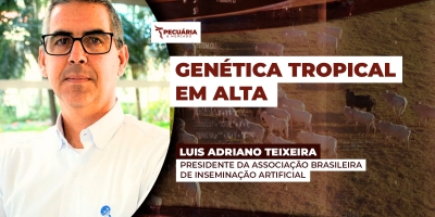 Brasil é referência em pecuária tropical e exportações de sêmen superam 1 mi/doses em 2025