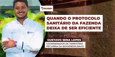 Como evitar que lotes de animais com mesmo protocolo sanitário tenham  desempenho diferente