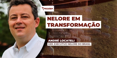 Melhoria genética do nelore passa por precocidade e qualidade da carne