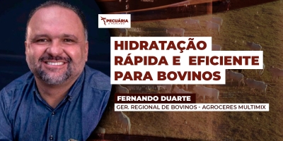 O agVitta Corte da Agroceres Multimix atua no combate ao estresse animal em situações de manejo ou transporte prolongados.