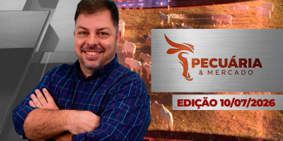 Não tem boi pronto para abate e pressão sobre arroba está próxima do fim, afirma analista