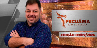 Pressão sobre as cotações da arroba diminuiu mas ainda é cedo para falar em fim do movimento de baixa