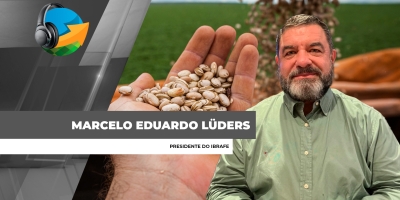 Cadeia produtiva do feijão vive uma das maiores transformações da história