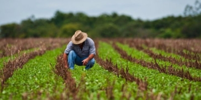Dia do Agricultor: Syngenta oferece novidades e condições especiais para fortalecer negócios e promover inovação no campo