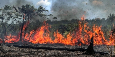 Calor extremo e seca no Tocantins levam produtores a colher milho durante a noite para evitar incêndios