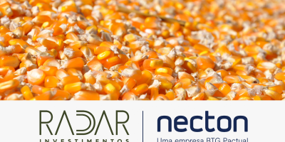 Radar Investimentos:  mercado brasileiro de milho entra na última semana do ano com negociações reduzidas