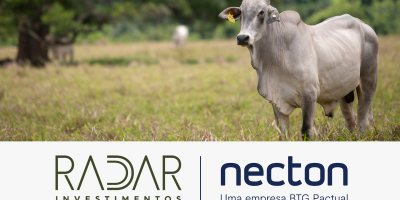 Radar Investimentos: Na B3, os contratos futuros do boi gordo encerraram em queda