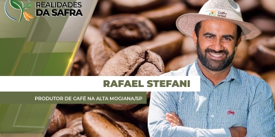 Chuva na colheita do café derruba frutos e pode afetar na qualidade