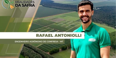 Lavouras se desenvolvem bem na região de Confresa/MT e próxima semana deve começar a colheita