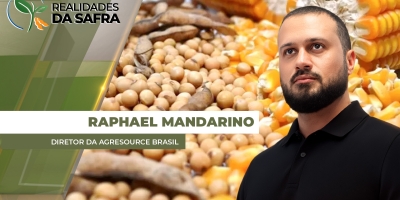 Mercado da soja passa por "equilíbrio tenso" entre demanda chinesa e desenvolvimento da safra americana