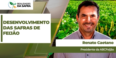 Após segunda safra complicada com clima, terceira safra de feijão se desenvolve bem