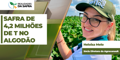 Rally do Algodão começa projetando safra de 4,2 milhões de toneladas nesta safra