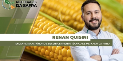 Tempo seco e pressão de pragas exige assertividade no manejo do milho de segunda safra