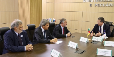 Ibraoliva leva ao Ministério da Agricultura demandas para proteger produção nacional