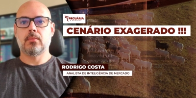 Pessimismo do mercado do boi com fim das cotas chinesas descarta fatores que podem reverter esse cenário