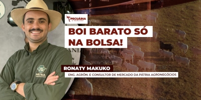 Queda da arroba na B3 é exagerada e preços no mercado físico apontam para outra realidade, afirma analista