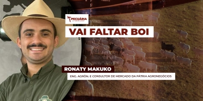 Vai faltar boi pronto para abate no Brasil entre agosto e setembro, alerta analista