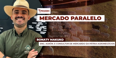 Movimento de alta para arroba do boi no primeiro trimestre é questão de tempo