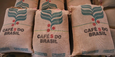 Café derrete em New York com pressão da safra brasileira e julho perde mais de 1.000 pontos