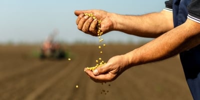 Em ofício, Sistema FAEP pede que governo federal desista de novo corte no Seguro Rural