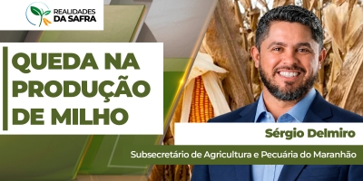 Após falta de chuvas em maio, Maranhão deve ter queda de produção no milho