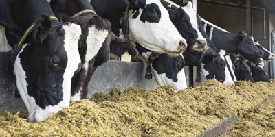 El Niño 2026 eleva riscos na pecuária leiteira e pressiona sistemas produtivos no Brasil