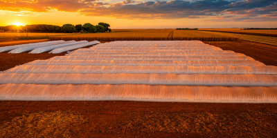 Déficit de armazenagem em Mato Grosso impulsiona uso de silo bolsa para estocar milho nas propriedades