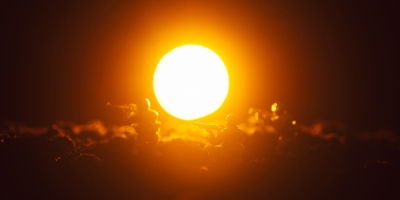 Calor extremo coloca à prova consumo de bebidas alcoólicas e afeta fabricantes na Europa