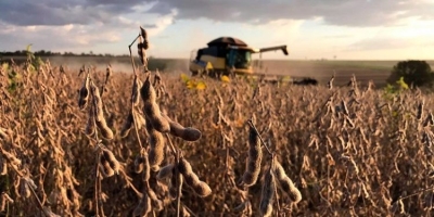 Retro 2025 - Soja/Cepea: Oferta global recorde derruba preços internos e externos em 2025