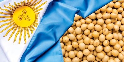 Colheita de soja e plantio de trigo na Argentina são afetados pelo tempo chuvoso