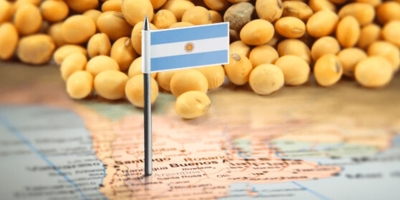 Regiões de soja da Argentina recebem chuvas necessárias antes da colheita, diz bolsa