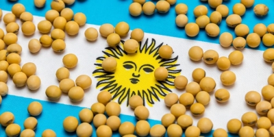 Área plantada com soja na Argentina deve crescer 1,2% em 26/27, diz bolsa