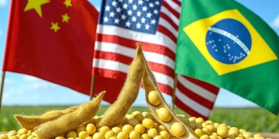 Brasil pode realocar fluxos de exportações do agro em meio a acordo EUA-China