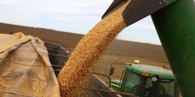Agro impulsiona Mato Grosso à liderança da balança comercial brasileira no 1º quadrimestre