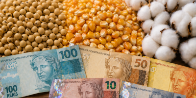 Comercialização do milho avança no Mato Grosso, enquanto do algodão e exportações de soja desaceleram em maio