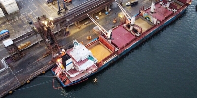 Anec passa a ver aumento na exportação de soja do Brasil em junho ante 2025