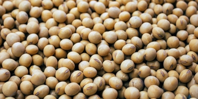 Abril indica retomada das exportações do agro gaúcho