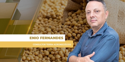Influenciada por queda do petróleo e clima bom nos EUA, soja recua em Chicago nesta segunda-feira