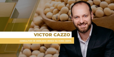 Preços da soja ao produtor brasileiro têm semana positiva e estimulam avanço dos negócios