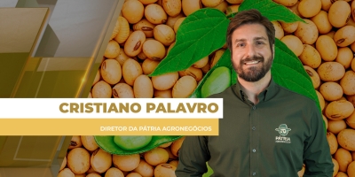 Preços da soja no mercado brasileiro têm novo dia de baixas; dólar recua e Chicago fecha de lado nesta 5ª feira